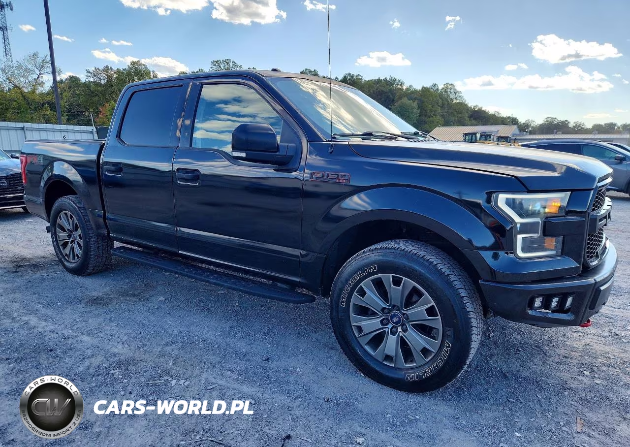 2017 Ford F150 Supercrew VIN:1FTEW1EPXHKC39197 - 4