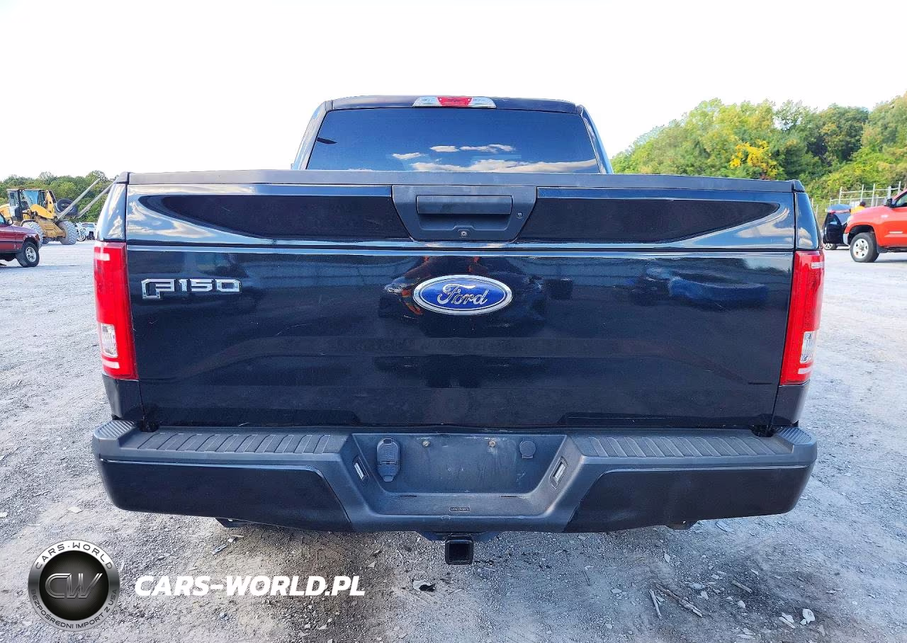 2017 Ford F150 Supercrew VIN:1FTEW1EPXHKC39197 - 6