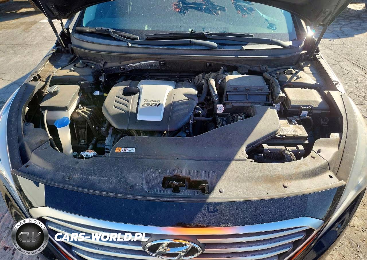 2017 Hyundai Sonata Eco VIN:5NPE24AA1HH537411 - 11