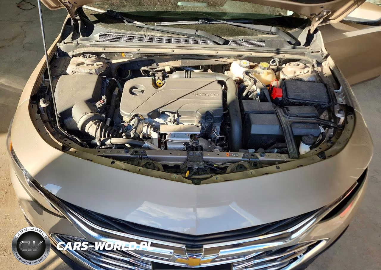 2023 Chevrolet Malibu Lt VIN:1G1ZD5ST9PF193670 - 11