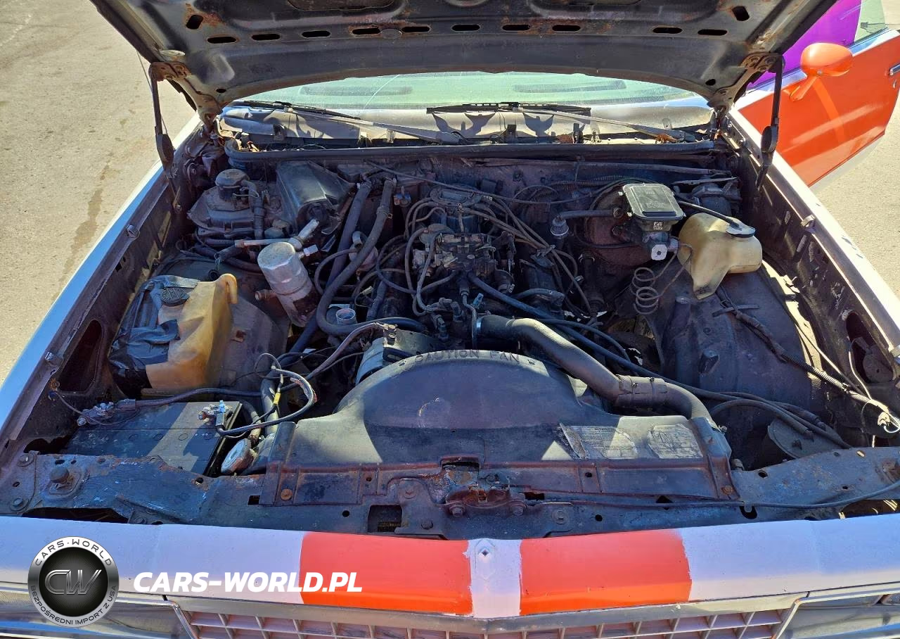 1983 Chevrolet El Camino VIN:1GCCW80H0DR192411 - 11