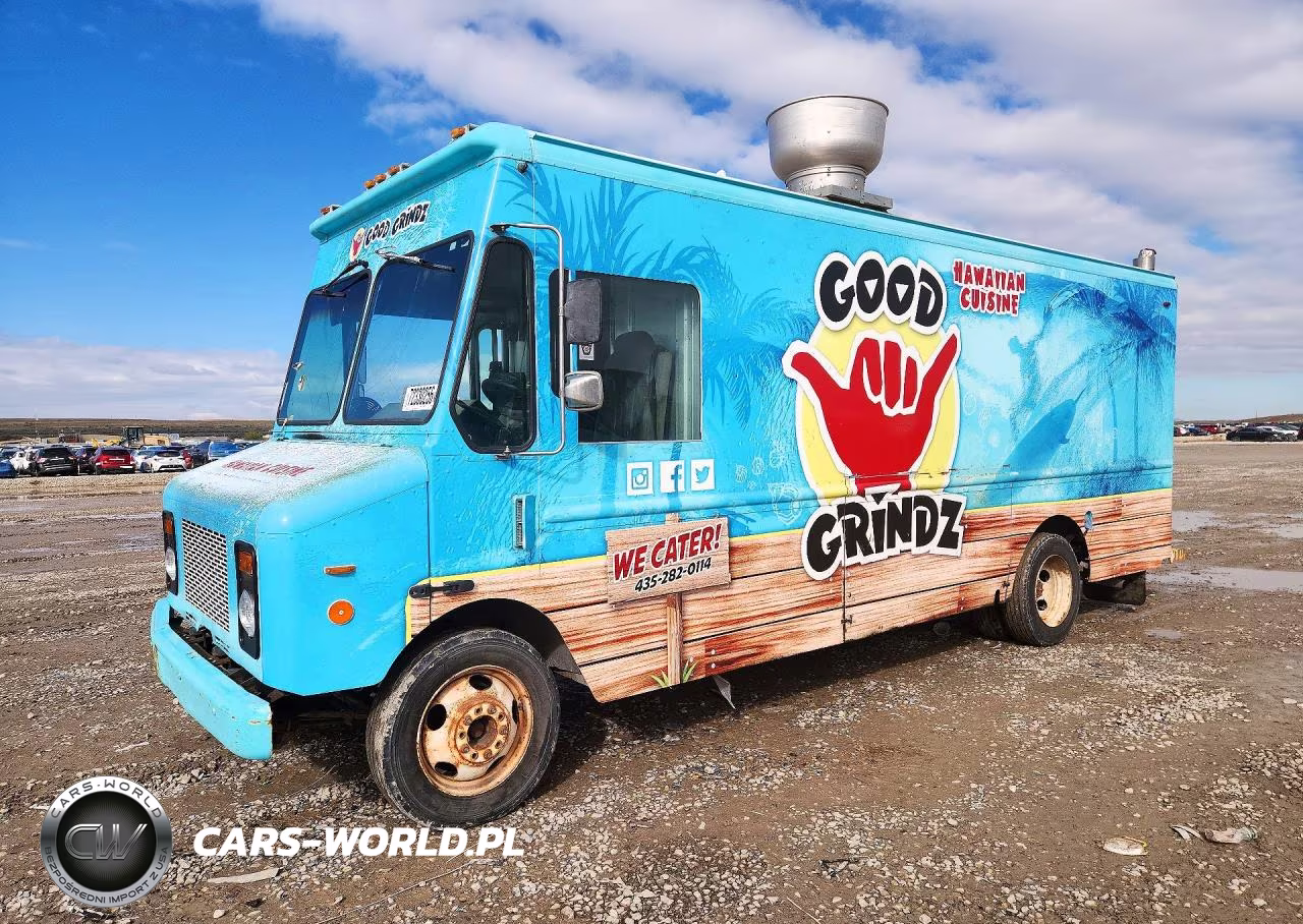 2004 Workhorse P4500 Delivery Truck – zdjęcie 1 z 12