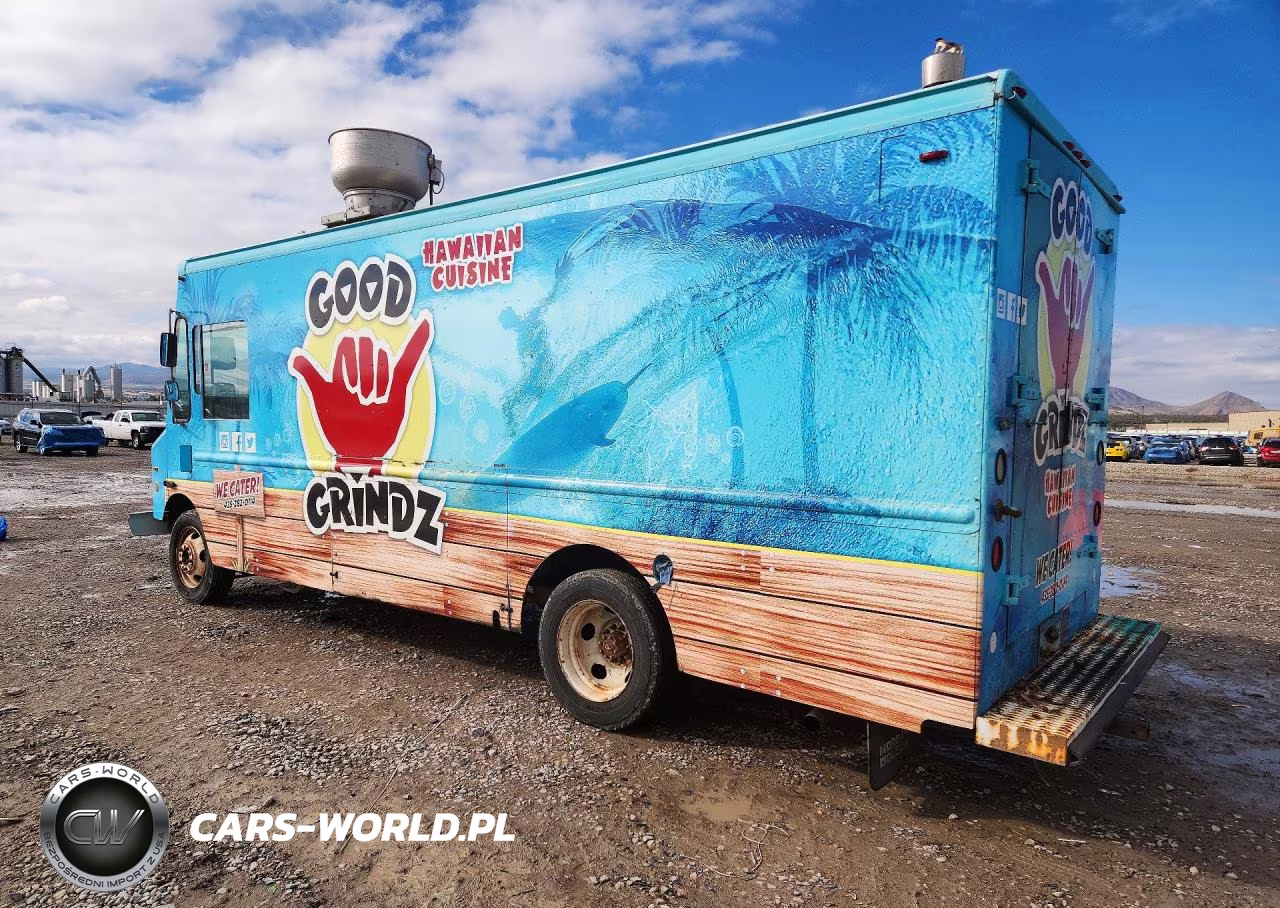 2004 Workhorse P4500 Delivery Truck VIN:5B4KP42U743396871 - 2