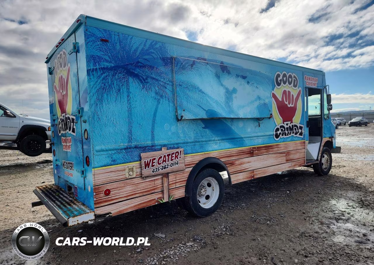 2004 Workhorse P4500 Delivery Truck VIN:5B4KP42U743396871 - 3