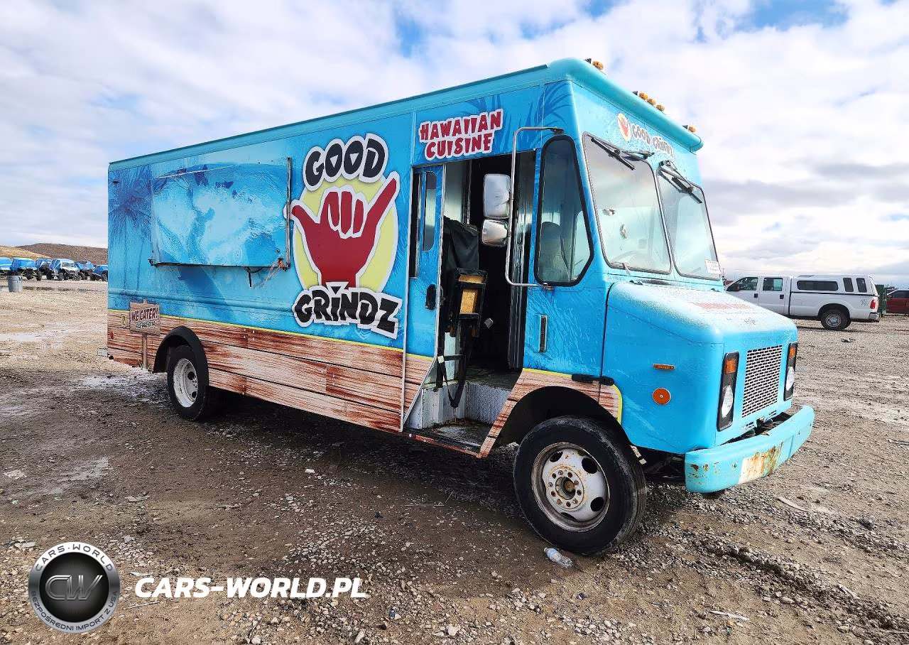 2004 Workhorse P4500 Delivery Truck VIN:5B4KP42U743396871 - 4