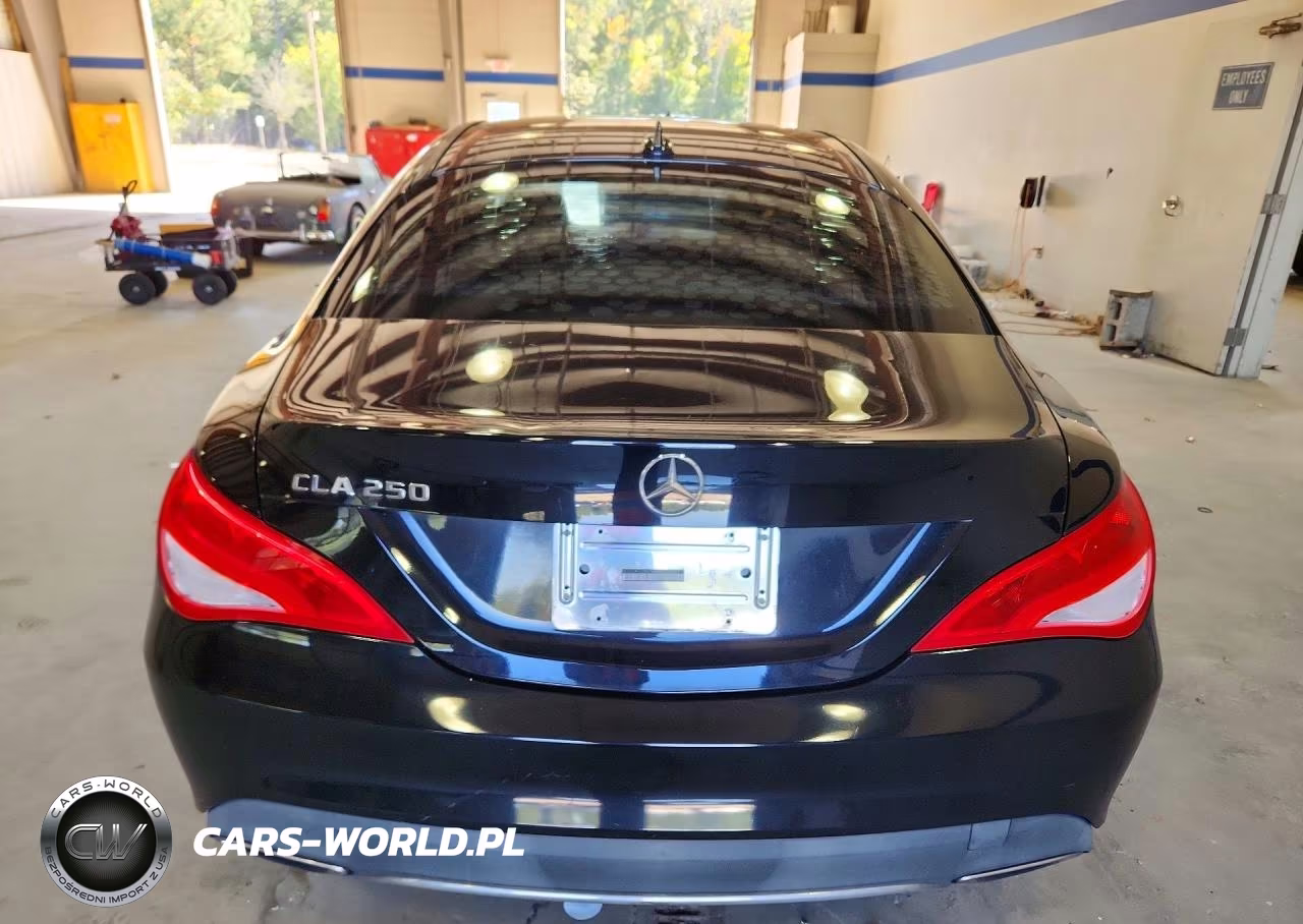2018 Mercedes-Benz Cla 250 VIN:WDDSJ4EB2JN514465 - 6