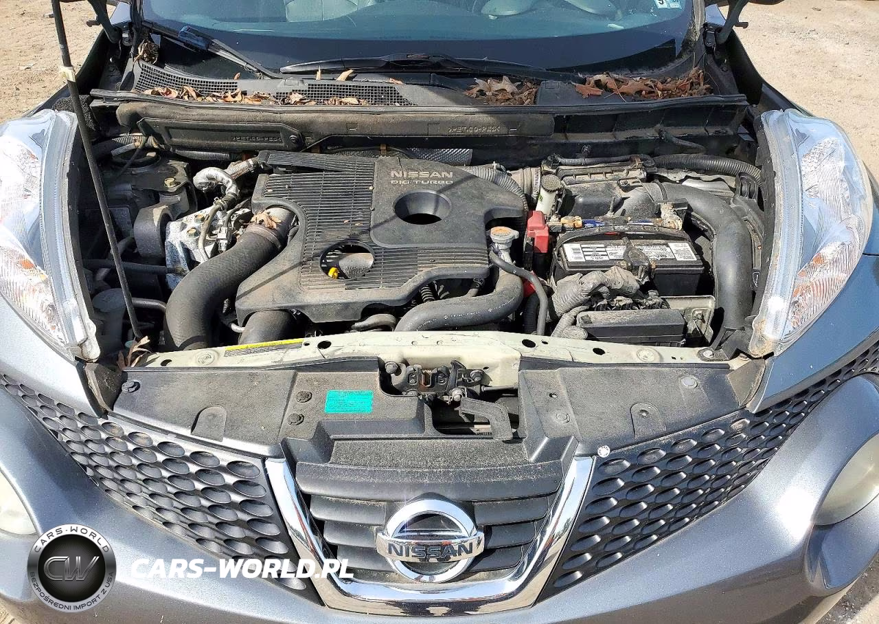 2013 Nissan Juke S VIN:JN8AF5MRXDT201342 - 11