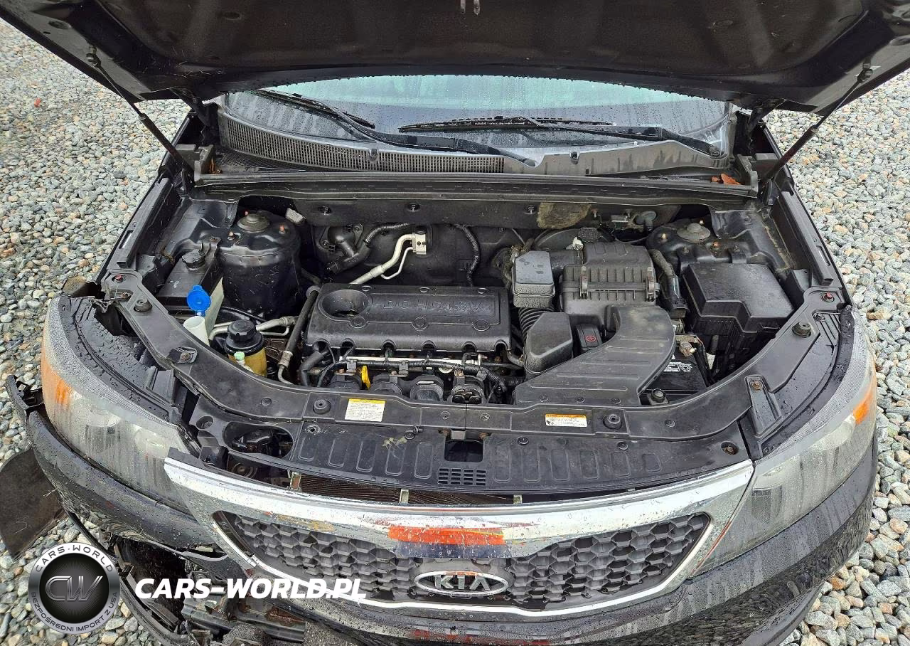 2012 Kia Sorento Lx VIN:5XYKT3A10CG233061 - 12