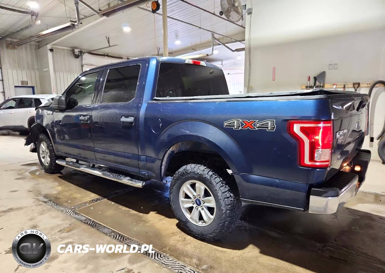 2015 Ford F150 Supercrew VIN:1FTEW1EF9FKD69315 - 2