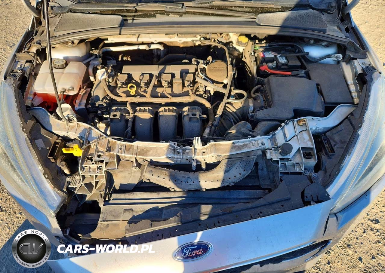 2015 Ford Focus Se VIN:1FADP3F24FL289288 - 11