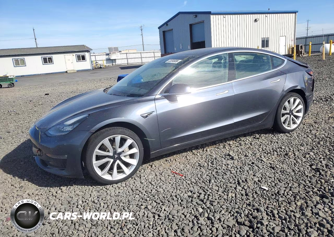 2019 Tesla Model 3