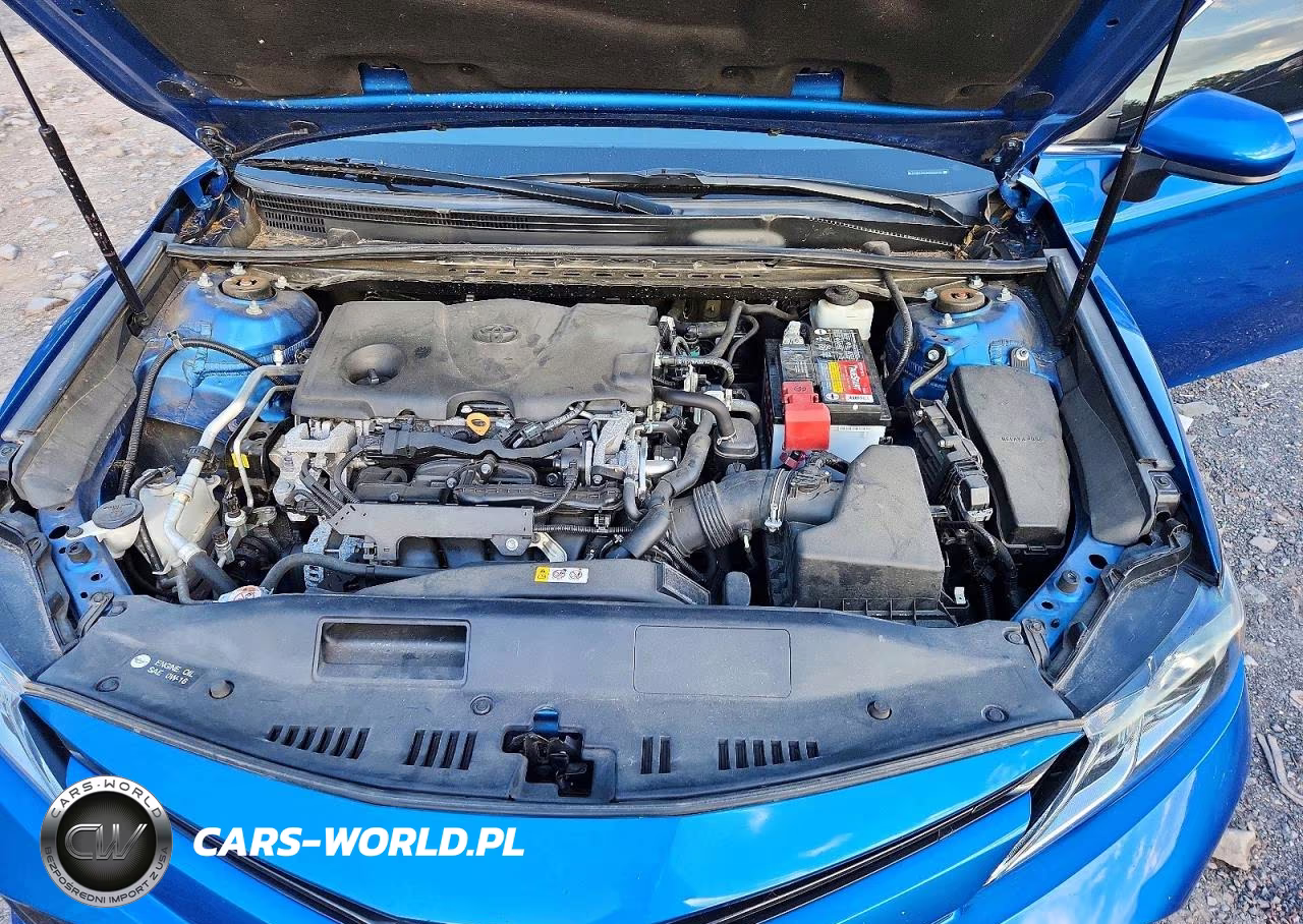 2019 Toyota Camry Le VIN:4T1B11HK6KU269788 - 11