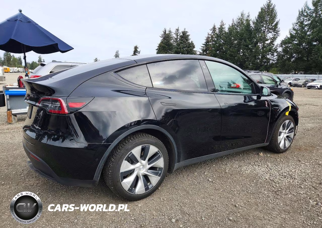 2020 Tesla Model Y VIN:5YJYGDEE0LF031426 - 3