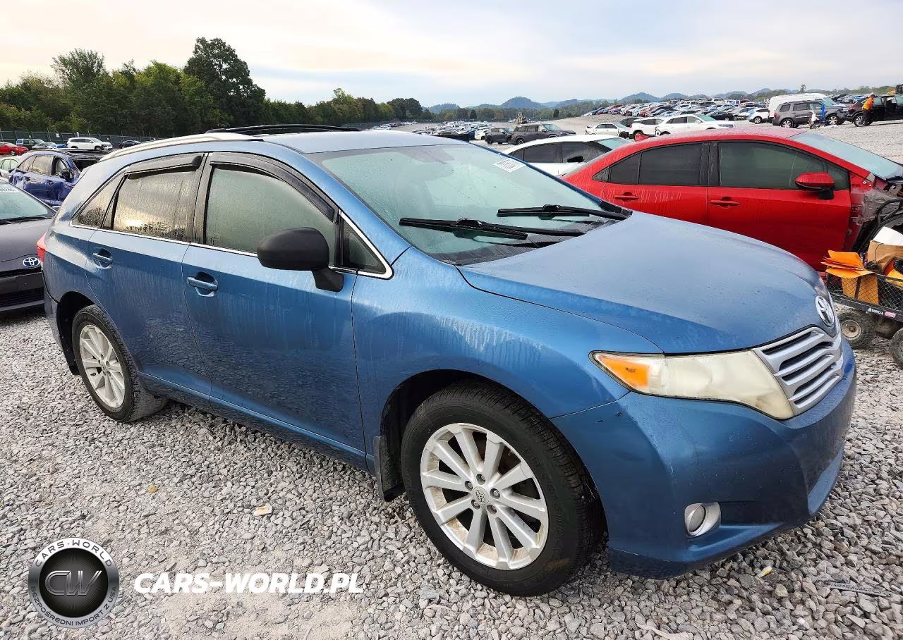 2009 Toyota Venza Fwd 4Cyl VIN:4T3ZE11A29U012195 - 4