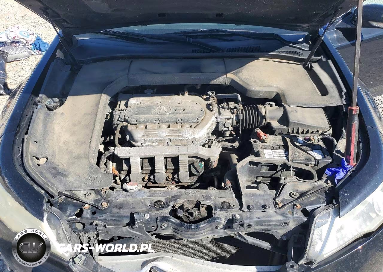 2009 Acura Tl VIN:19UUA86509A003912 - 11