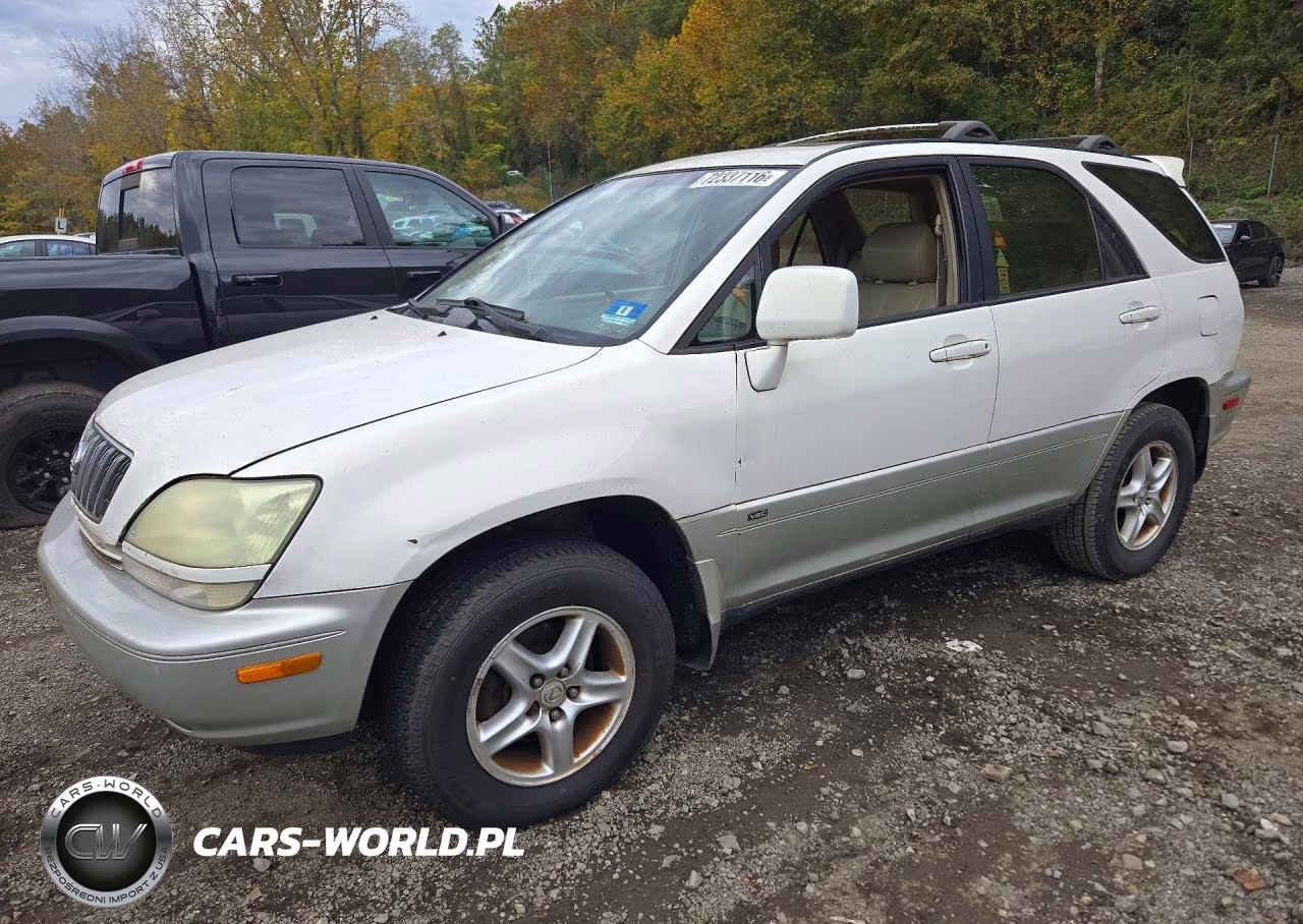 2001 Lexus Rx 300 VIN:JTJHF10U910205034 - 1