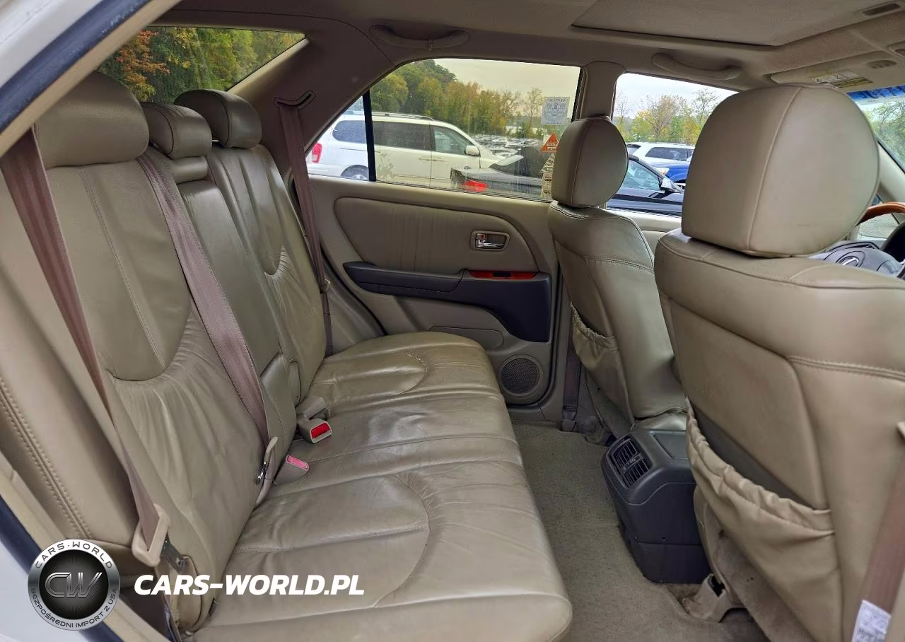 2001 Lexus Rx 300 VIN:JTJHF10U910205034 - 11