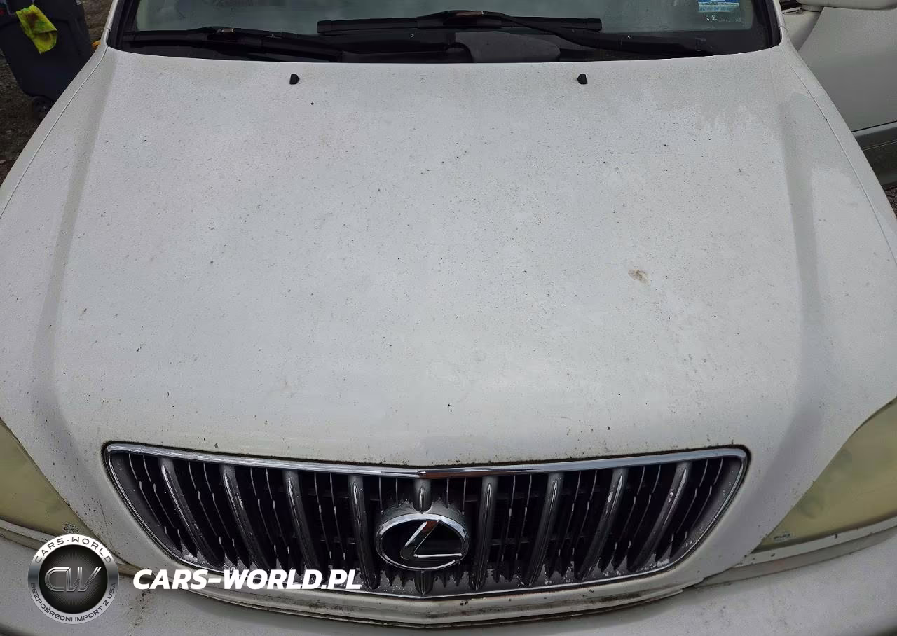 2001 Lexus Rx 300 VIN:JTJHF10U910205034 - 12