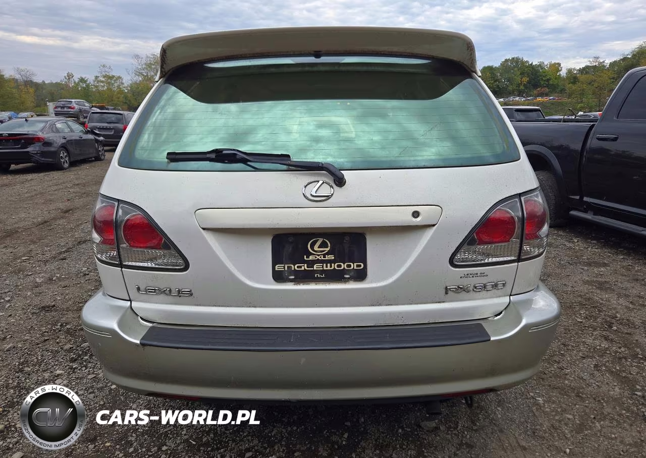 2001 Lexus Rx 300 VIN:JTJHF10U910205034 - 6