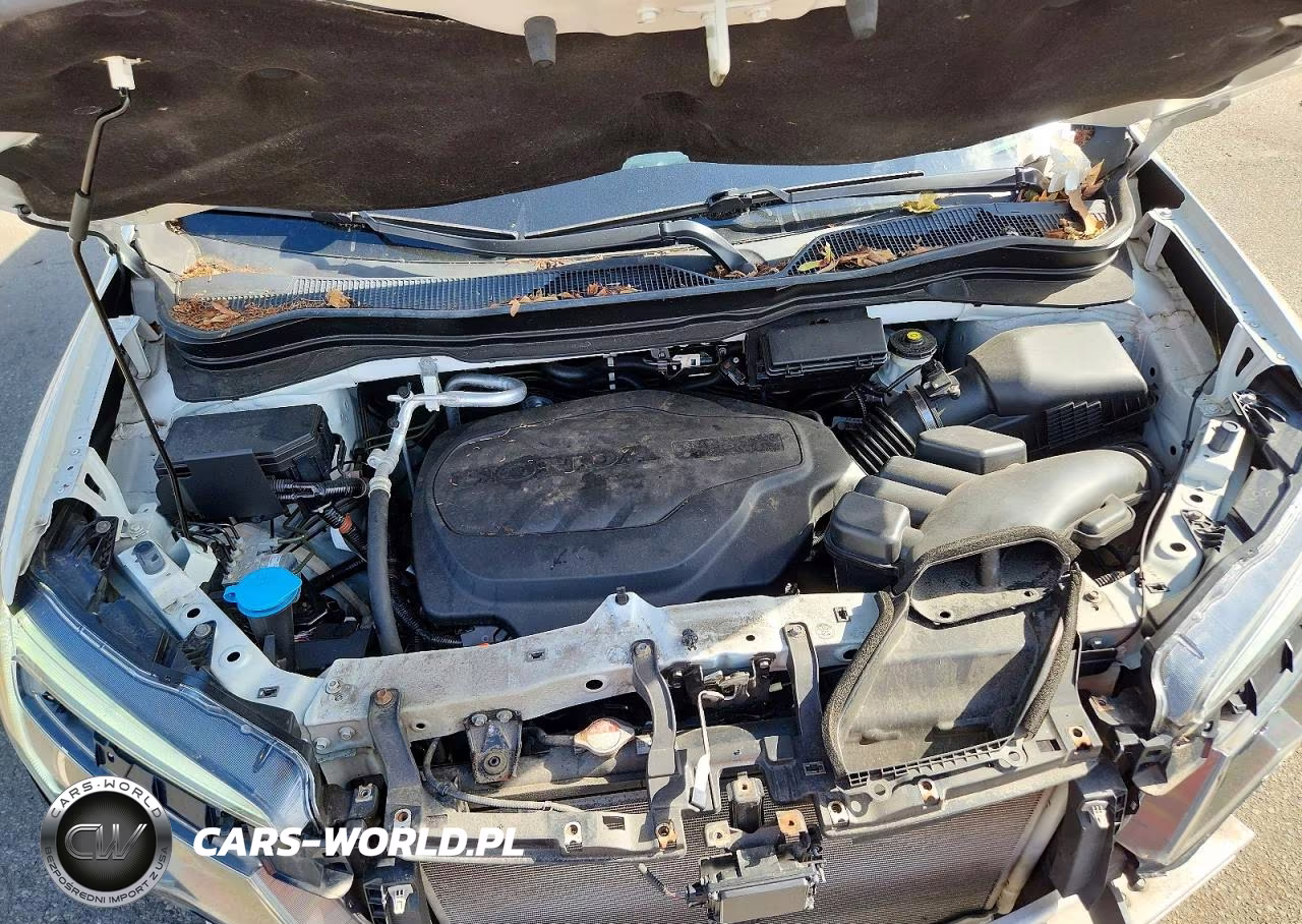 2021 Honda Pilot Exl VIN:5FNYF6H59MB037950 - 12