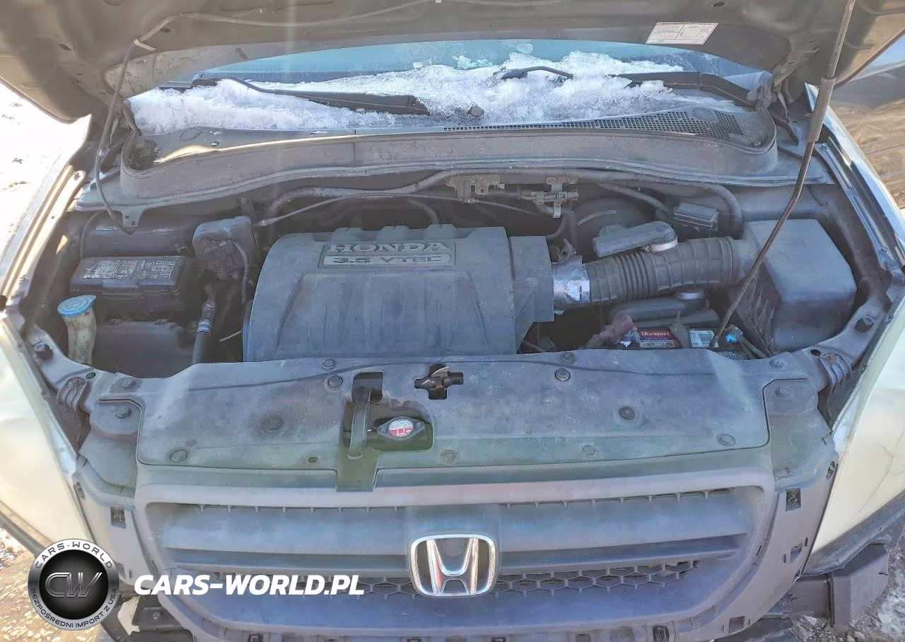 2005 Honda Pilot Exl VIN:5FNYF18555B029042 - 12
