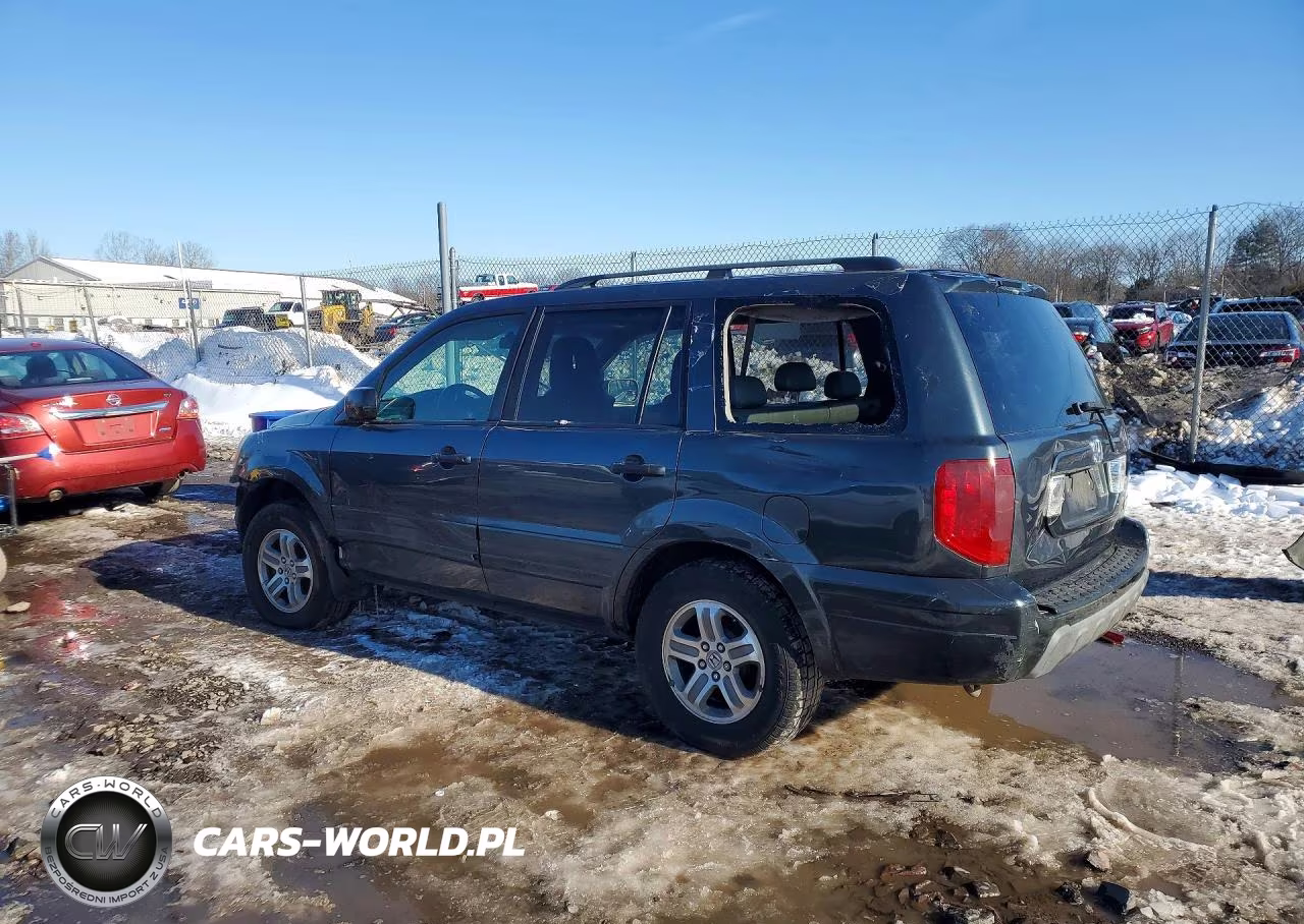 2005 Honda Pilot Exl VIN:5FNYF18555B029042 - 2
