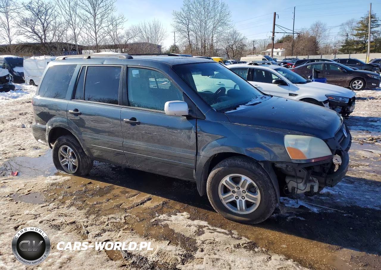 2005 Honda Pilot Exl VIN:5FNYF18555B029042 - 4