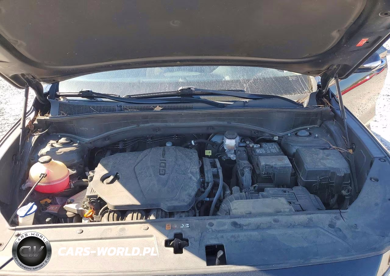 2023 Hyundai Santa Fe Sel VIN:5NMS24AJ5PH526930 - 12