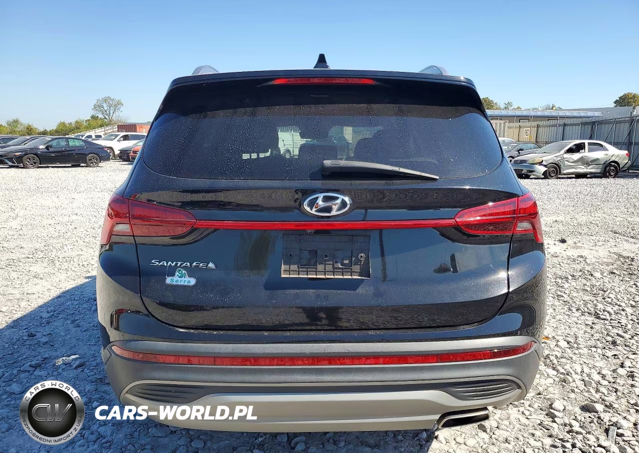 2023 Hyundai Santa Fe Sel VIN:5NMS24AJ5PH526930 - 6