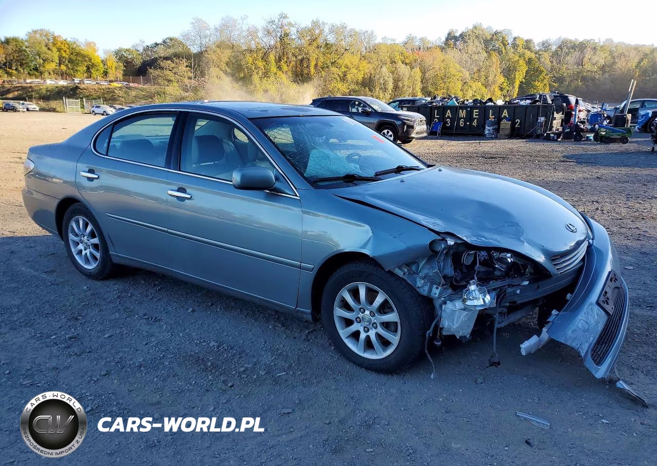 2002 Lexus Es 300 VIN:JTHBF30G520023216 - 4