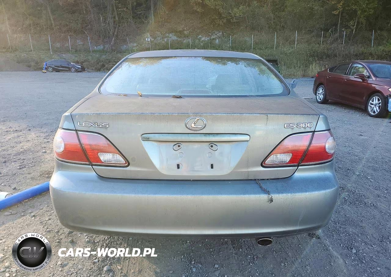 2002 Lexus Es 300 VIN:JTHBF30G520023216 - 6