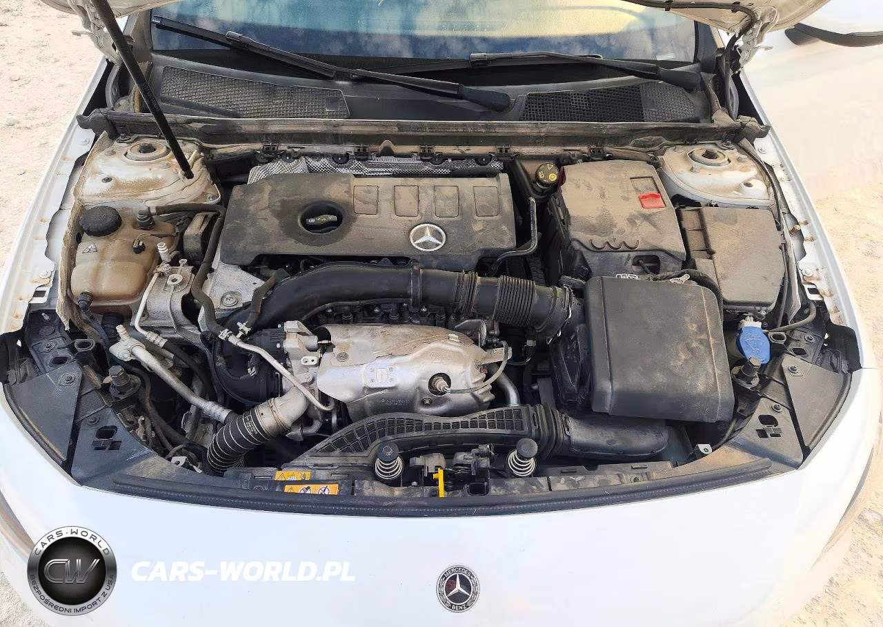 2020 Mercedes-Benz A 220 VIN:WDD3G4EB1LW038709 - 11