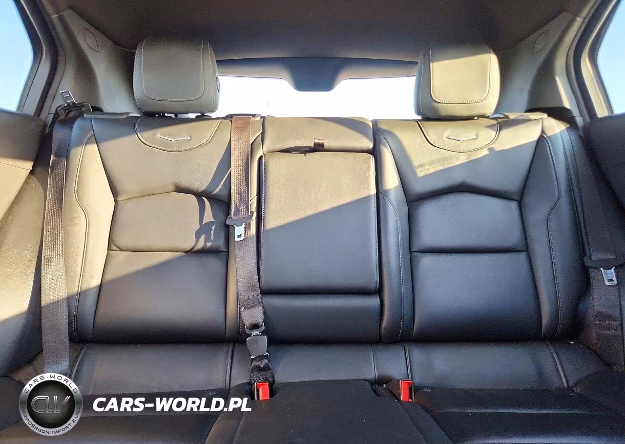 2023 Cadillac Xt4 Premium Luxury VIN:1GYFZDR43PF123063 - 10