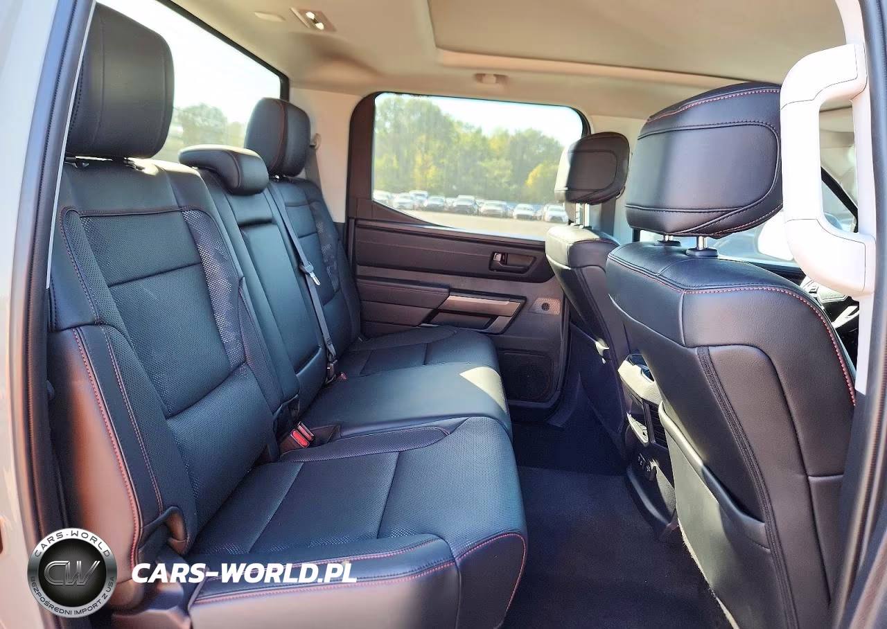 2022 Toyota Tundra Trd Pro Hv VIN:5TFPC5DB5NX010018 - 10