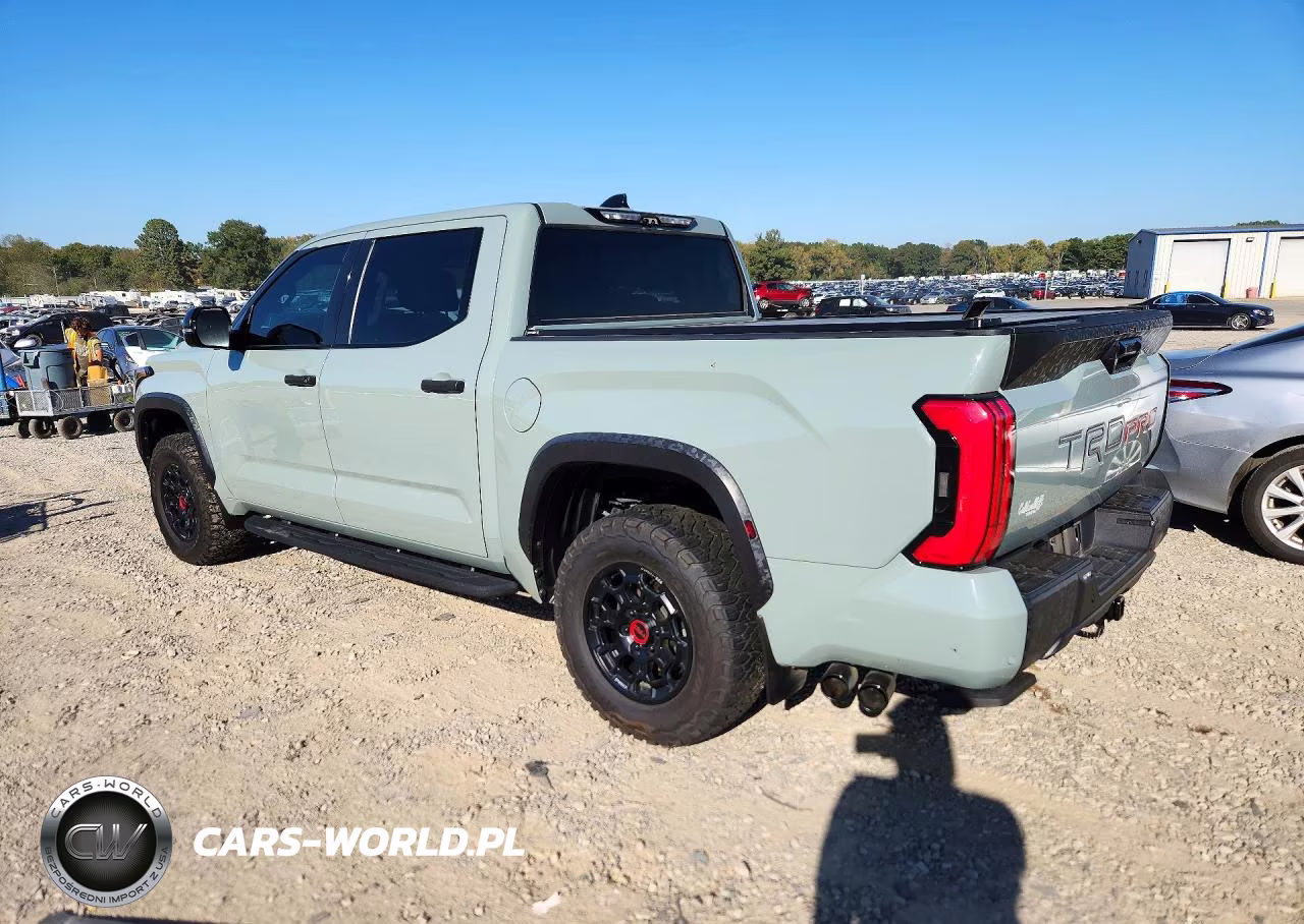 2022 Toyota Tundra Trd Pro Hv VIN:5TFPC5DB5NX010018 - 2