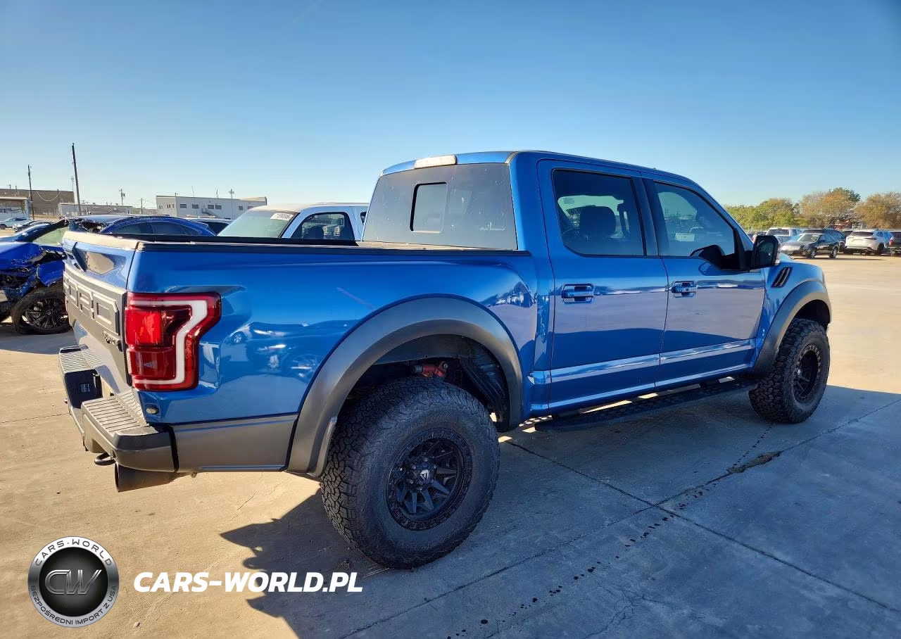 2019 Ford F150 Raptor VIN:1FTFW1RG4KFB80677 - 3