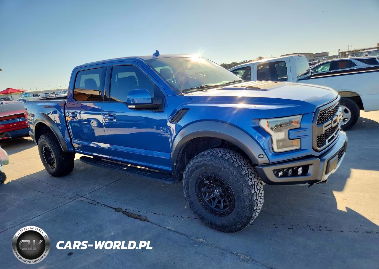 2019 Ford F150 Raptor VIN:1FTFW1RG4KFB80677 - 4