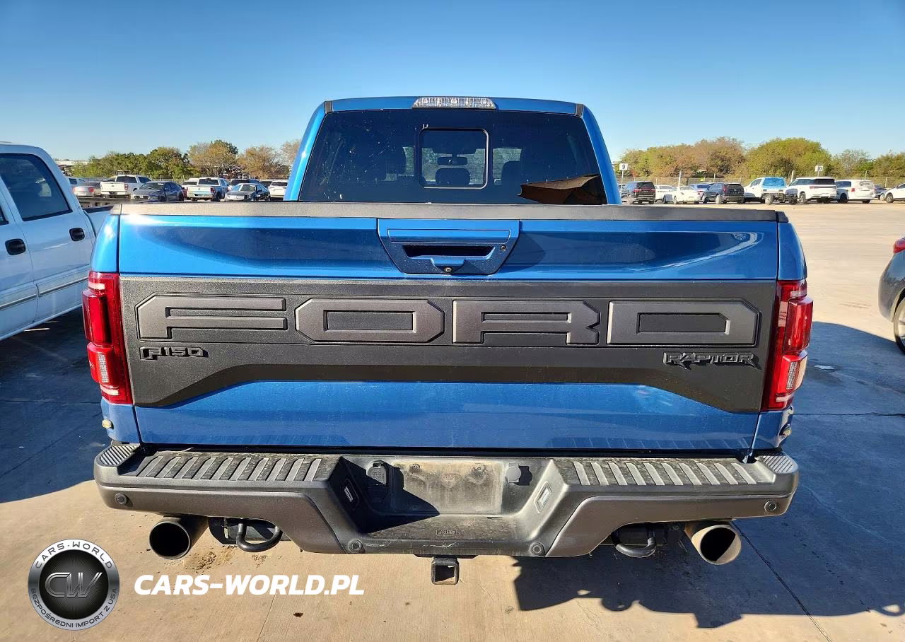2019 Ford F150 Raptor VIN:1FTFW1RG4KFB80677 - 6