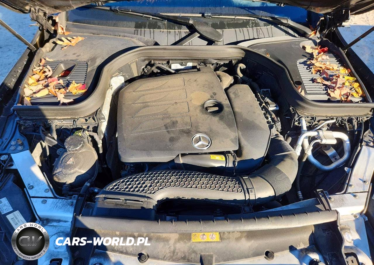 2020 Mercedes-Benz Glc 300 4Matic VIN:WDC0G8EB3LF720389 - 12