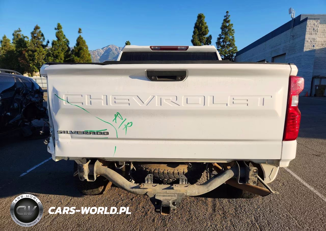 2019 Chevrolet Silverado K1500 VIN:3GCUYAEF6KG151730 - 6