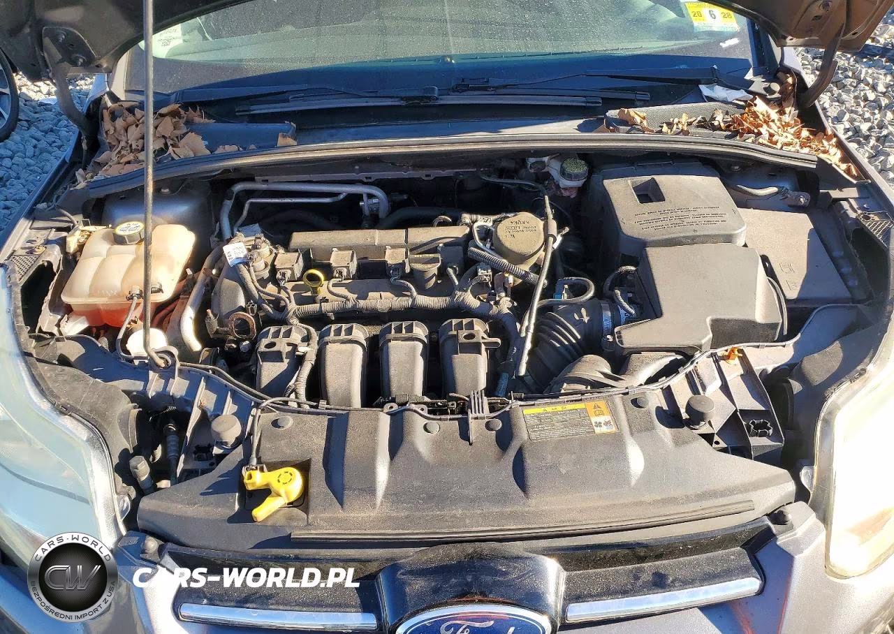 2012 Ford Focus Sel VIN:1FAHP3M27CL185135 - 11