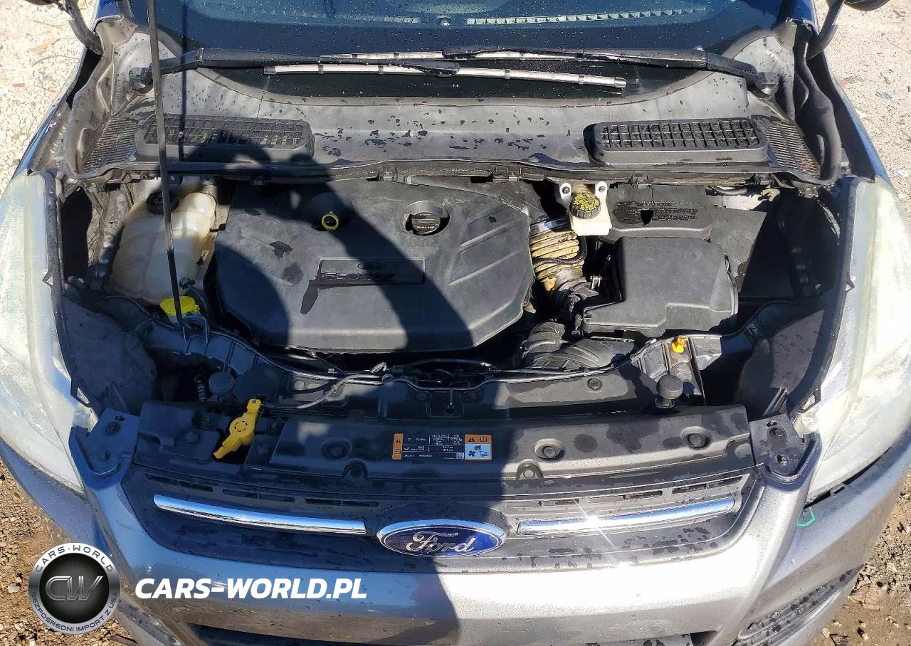 2014 Ford Escape Se VIN:1FMCU0G92EUE36379 - 12