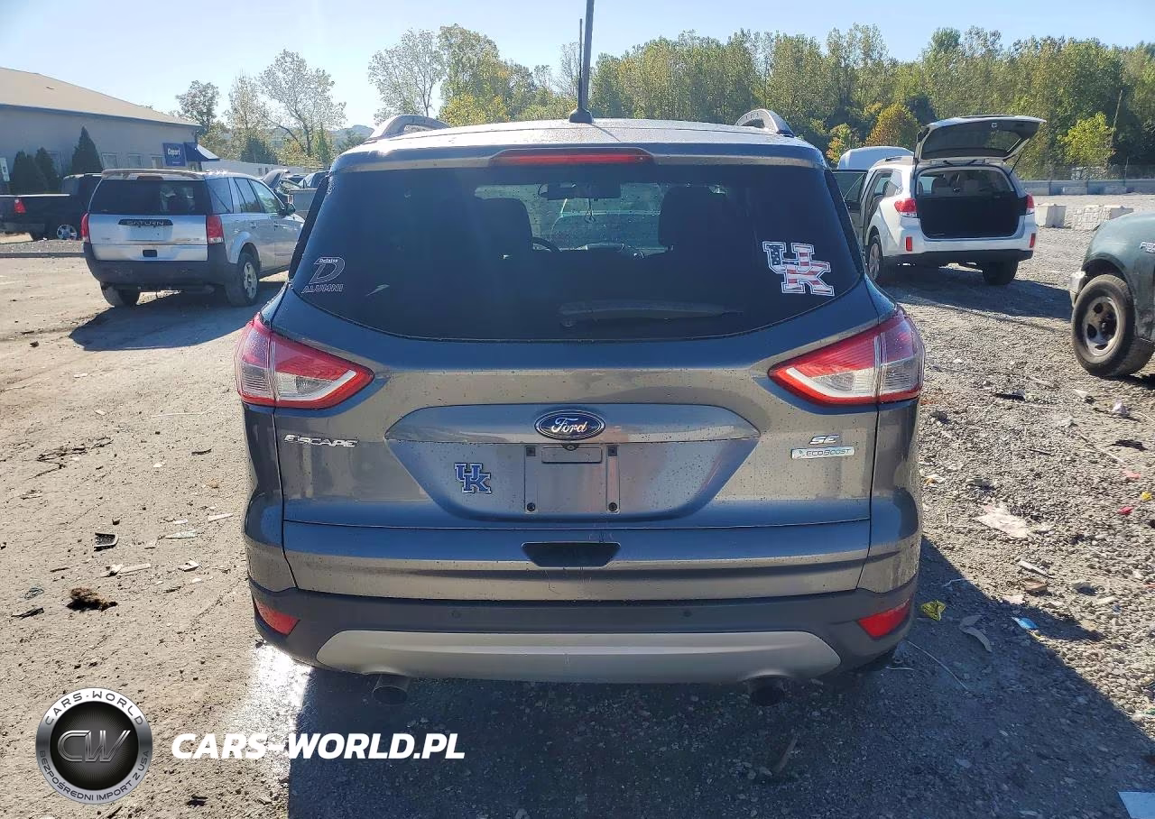 2014 Ford Escape Se VIN:1FMCU0G92EUE36379 - 6
