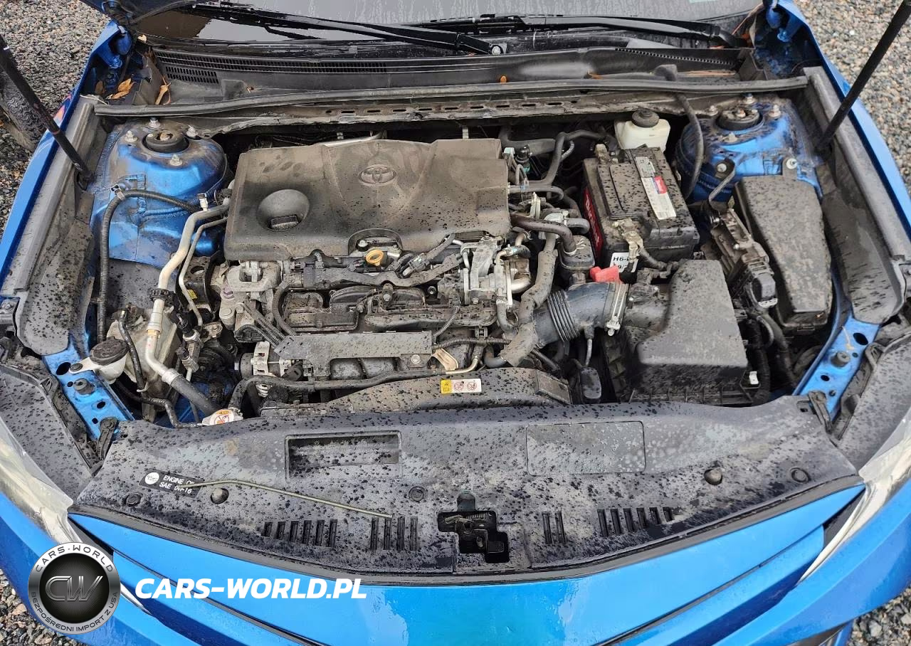 2019 Toyota Camry Le VIN:4T1B11HK7KU172762 - 11