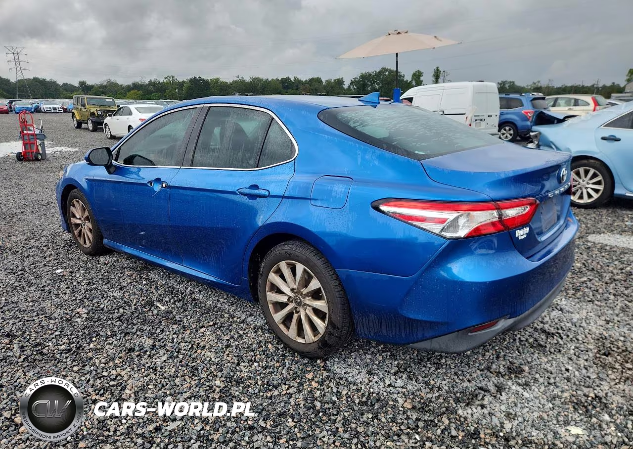 2019 Toyota Camry Le VIN:4T1B11HK7KU172762 - 2