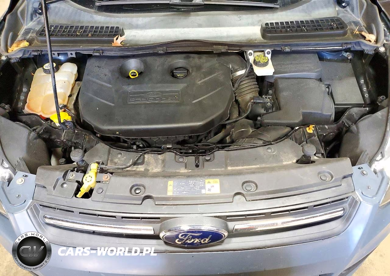 2013 Ford Escape Se VIN:1FMCU9G97DUD91510 - 12