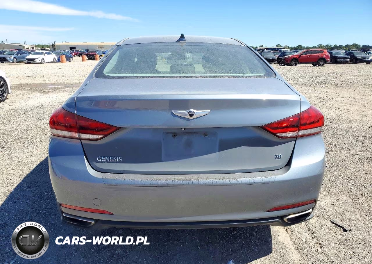 2015 Hyundai Genesis 3.8L VIN:KMHGN4JE5FU074433 - 6