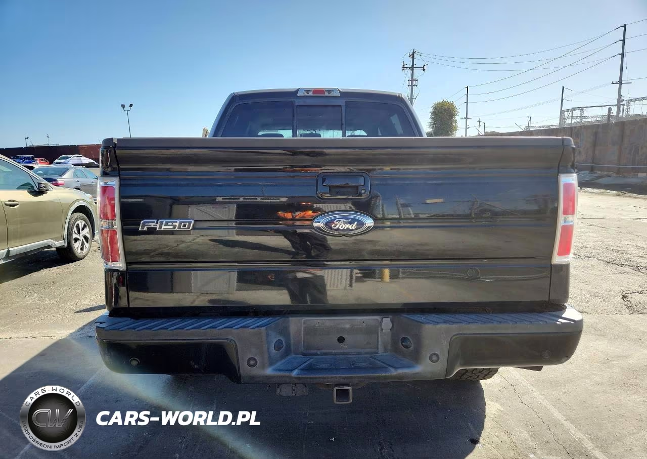 2009 Ford F150 Supercrew VIN:1FTPW14V79KB90941 - 6