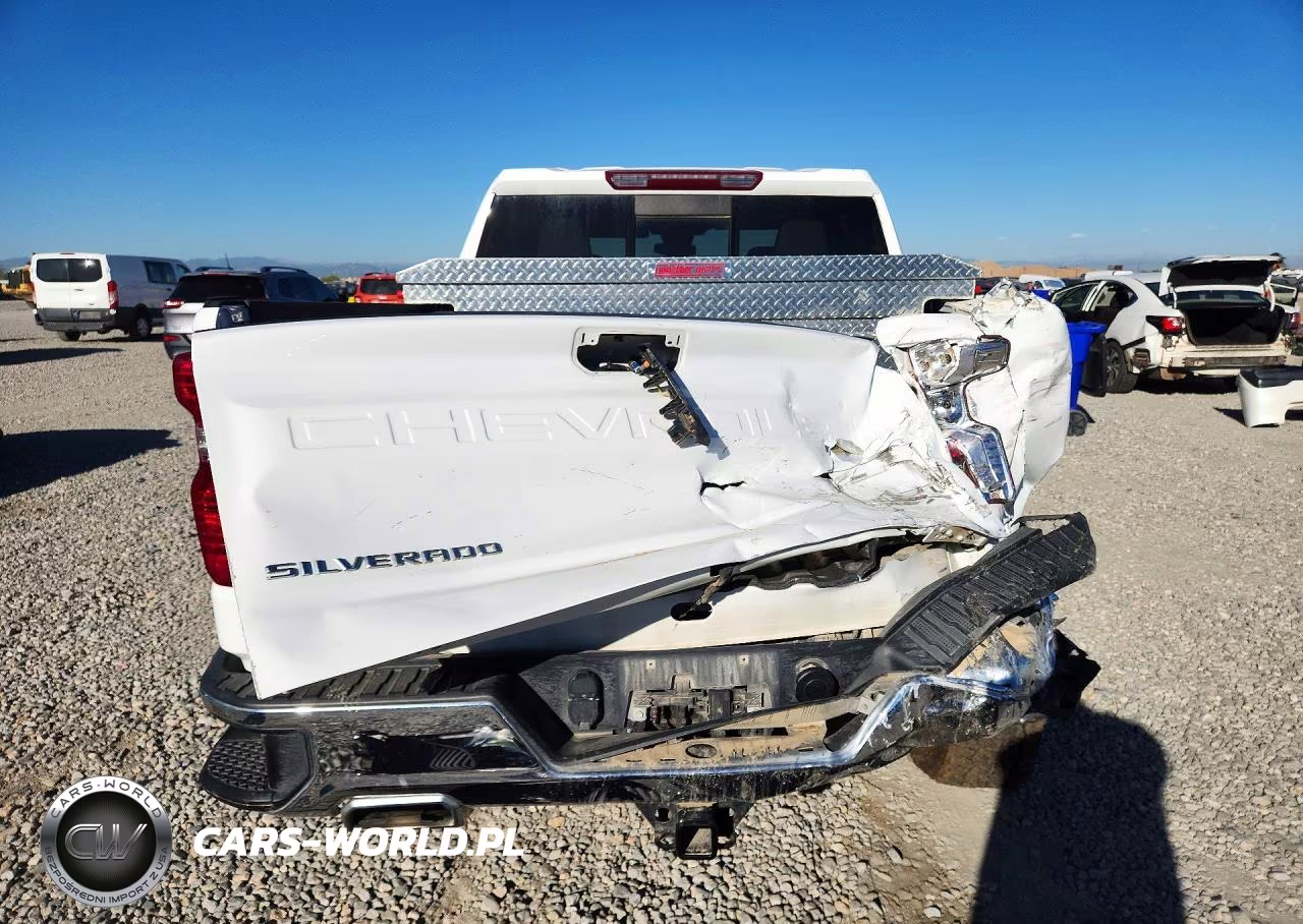 2023 Chevrolet Silverado K1500 Lt VIN:3GCUDDED9PG318830 - 6