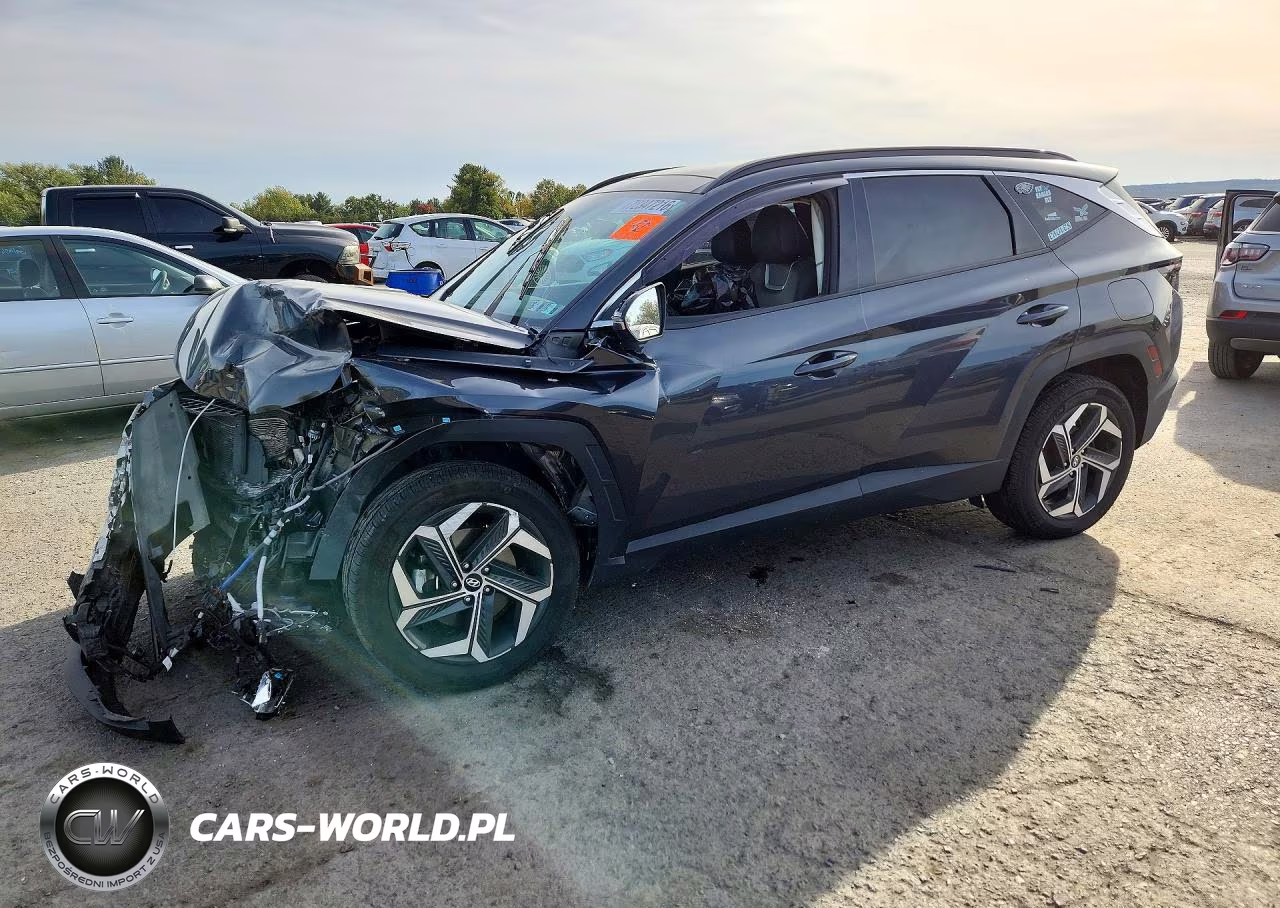 2023 Hyundai Tucson Limited VIN:5NMJECAEXPH192569 - 1